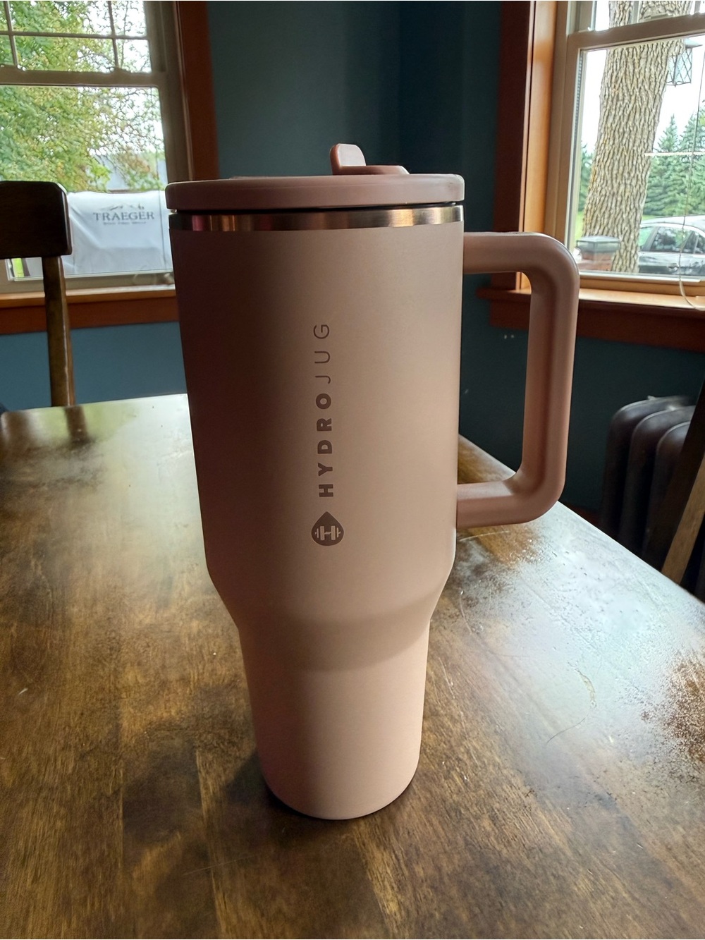 HydroJug Travel 32 oz. Insulated Tumbler with handle and straw